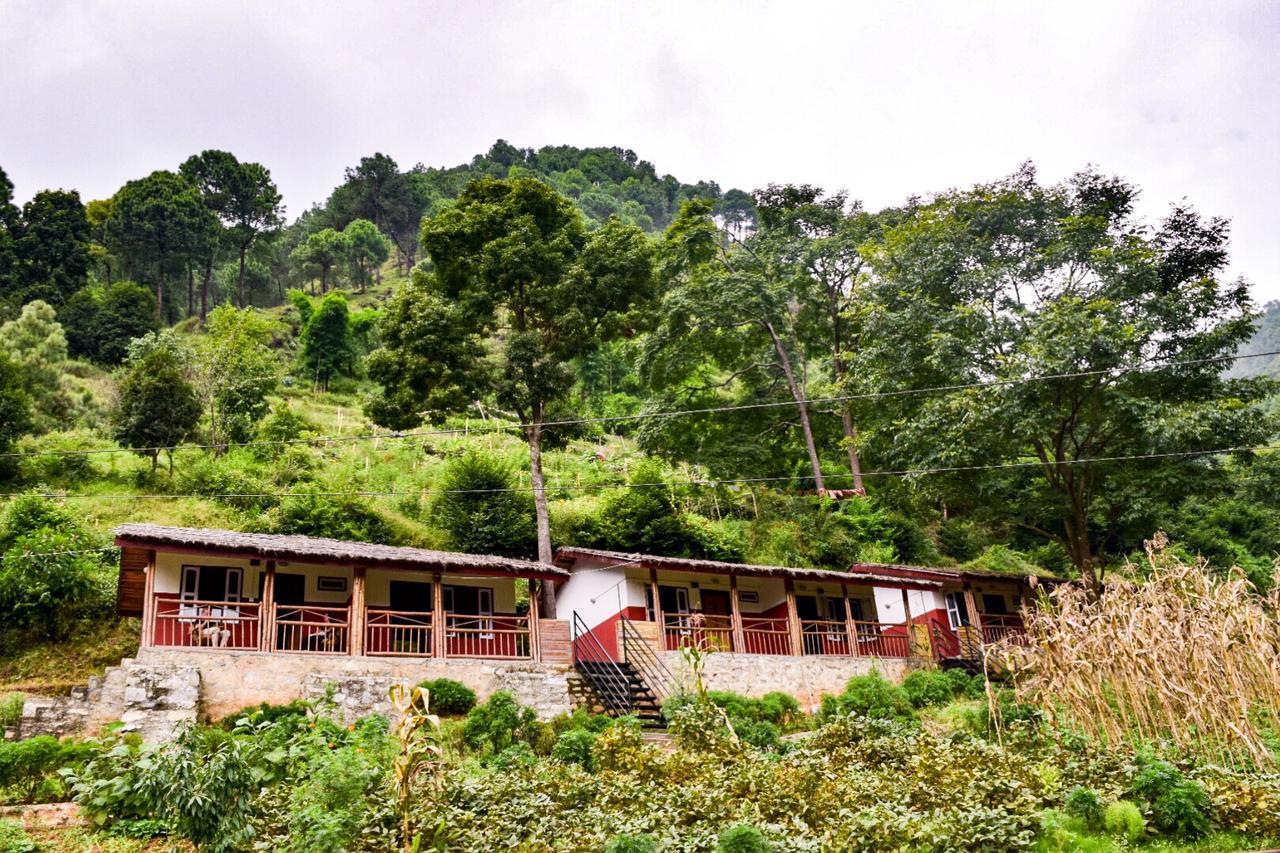 Solid Rock - Lodge & Restaurant Pharping Esterno foto